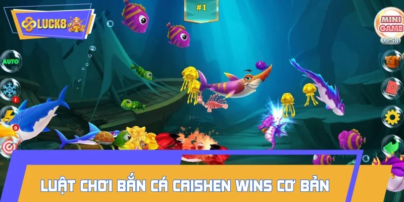 Quy luật cơ bản dành cho người mới bắt đầu